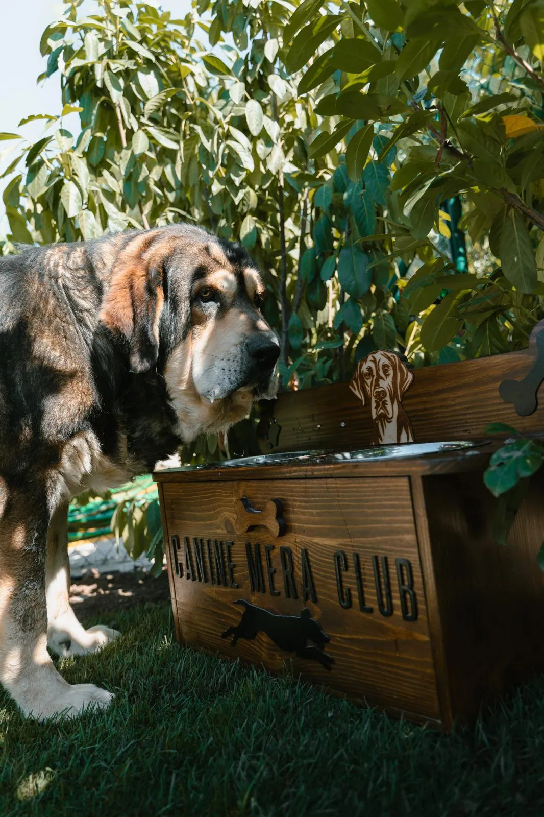 Canine Mera Club se llama el hotel guardería.