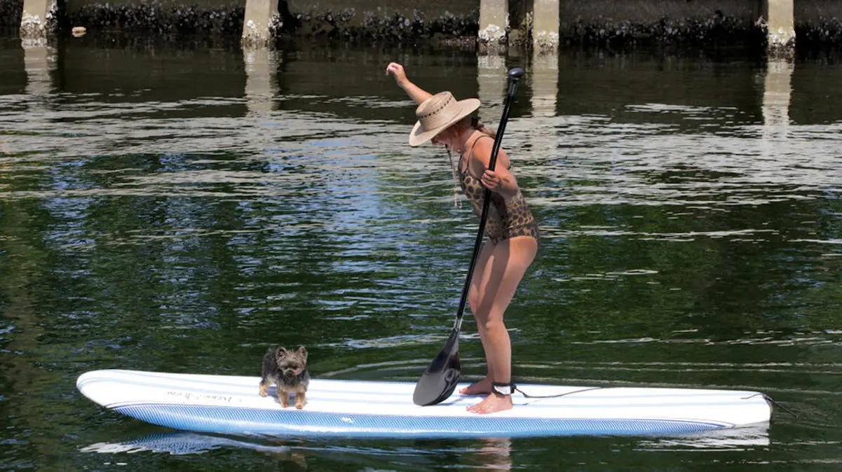 Doctora Polo haciendo paddle surf