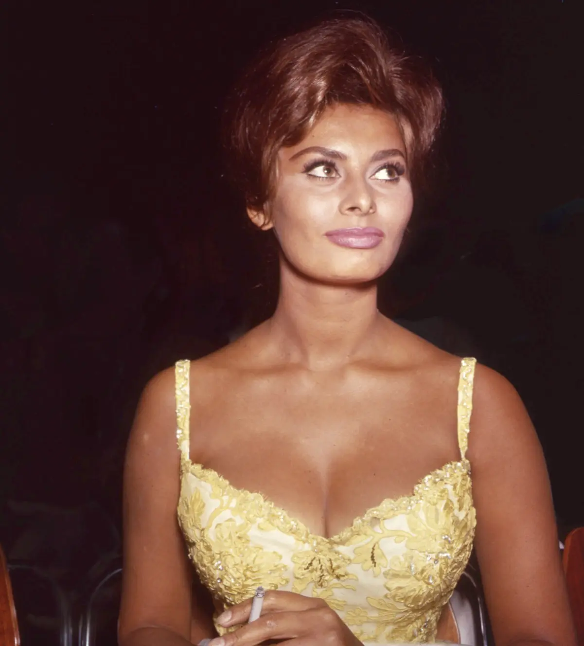 Sophia Loren