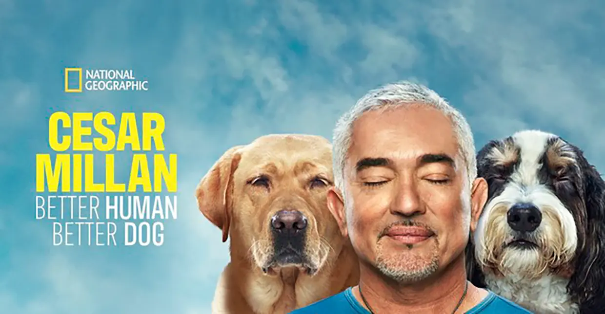 Cesar en el cartel de su nuevo programa 'Better human better dog'