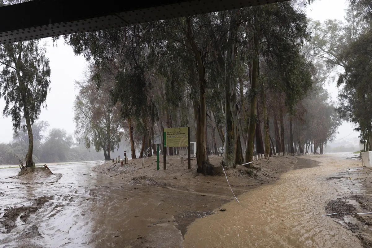 El río Guadalhorce a su paso por Cártama (Málaga).