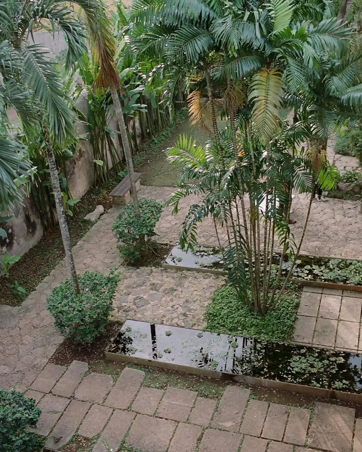 Hacienda México Boda Alonso Aznar