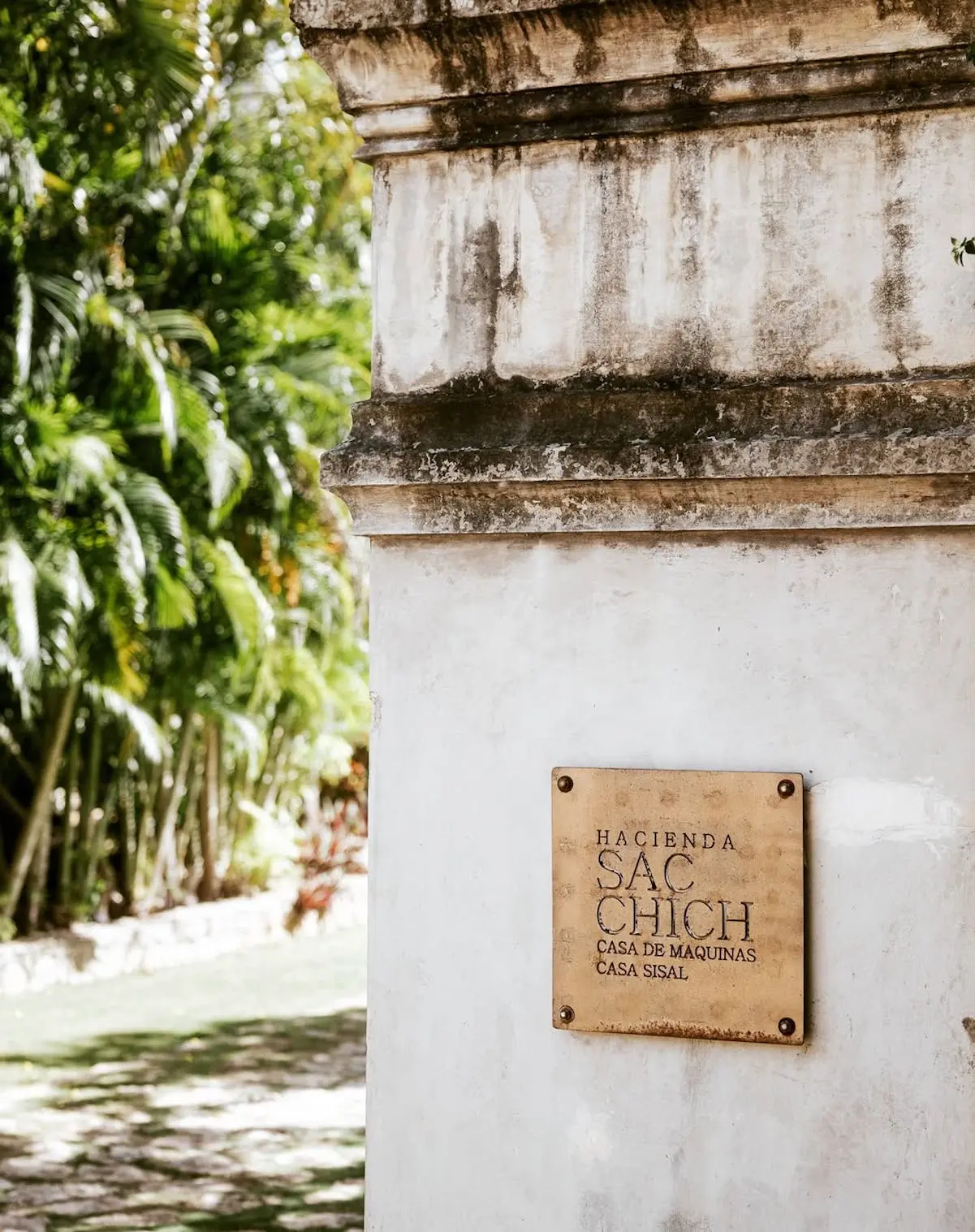 Hacienda México Boda Alonso Aznar