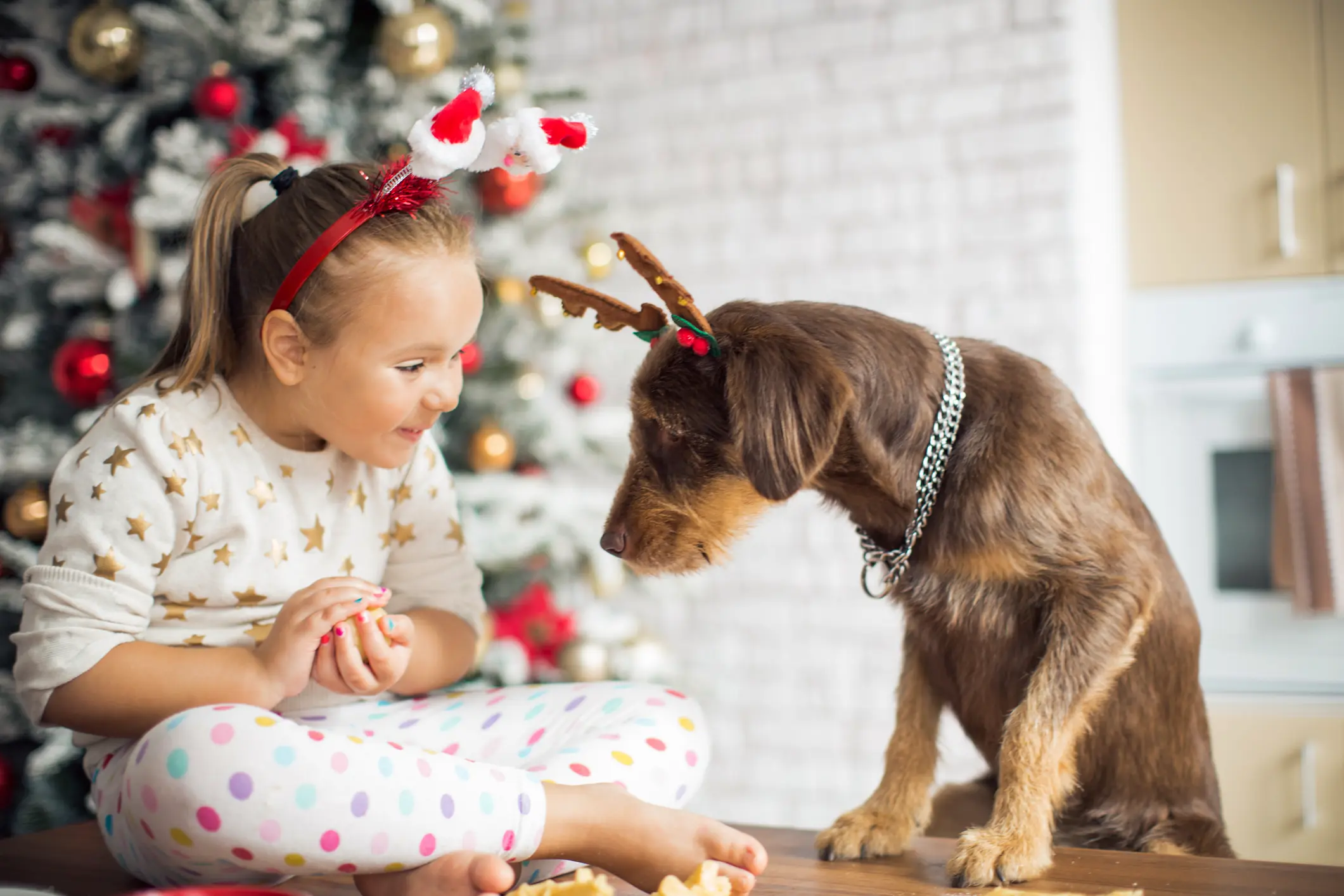 consejos navidad sin riesgos