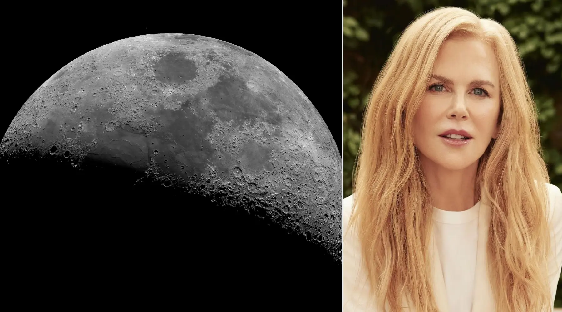 Nicole Kidman tiene una parcela en la Luna.