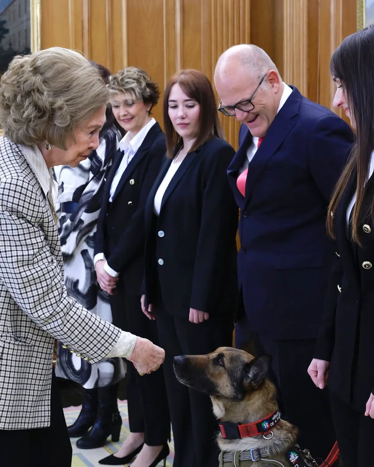 DONA SOFÍA Asociación Héroes de 4 Patas