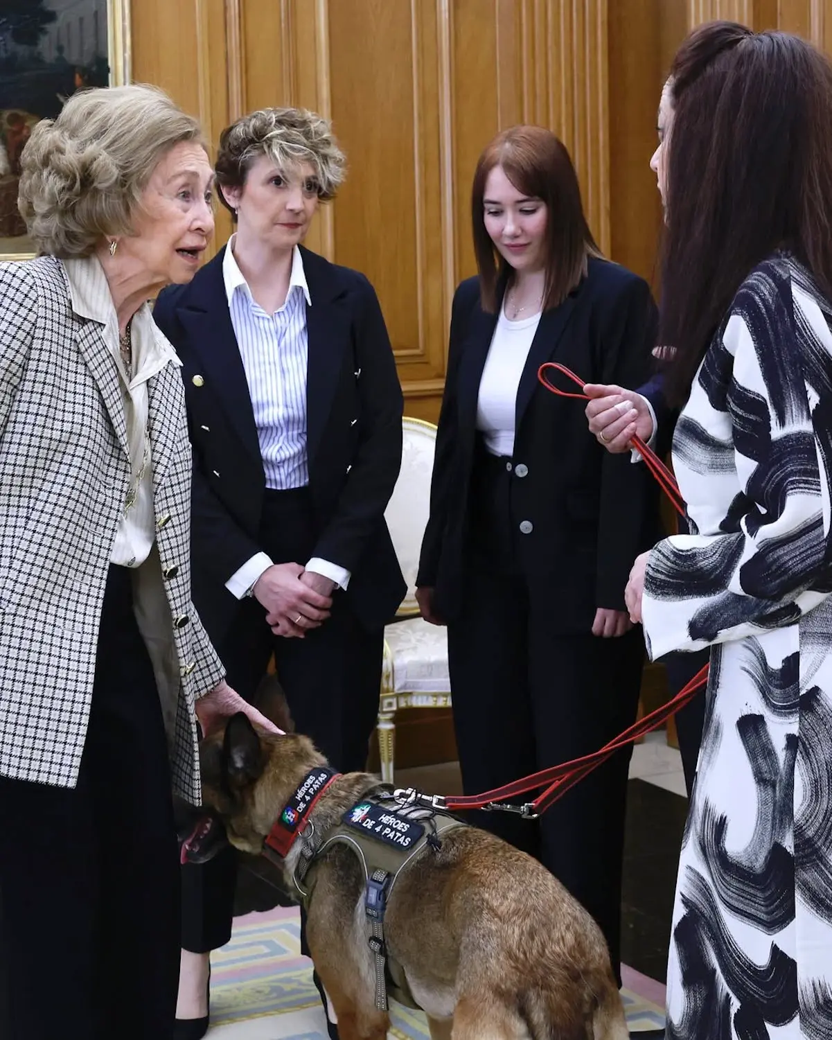 DONA SOFÍA Asociación Héroes de 4 Patas