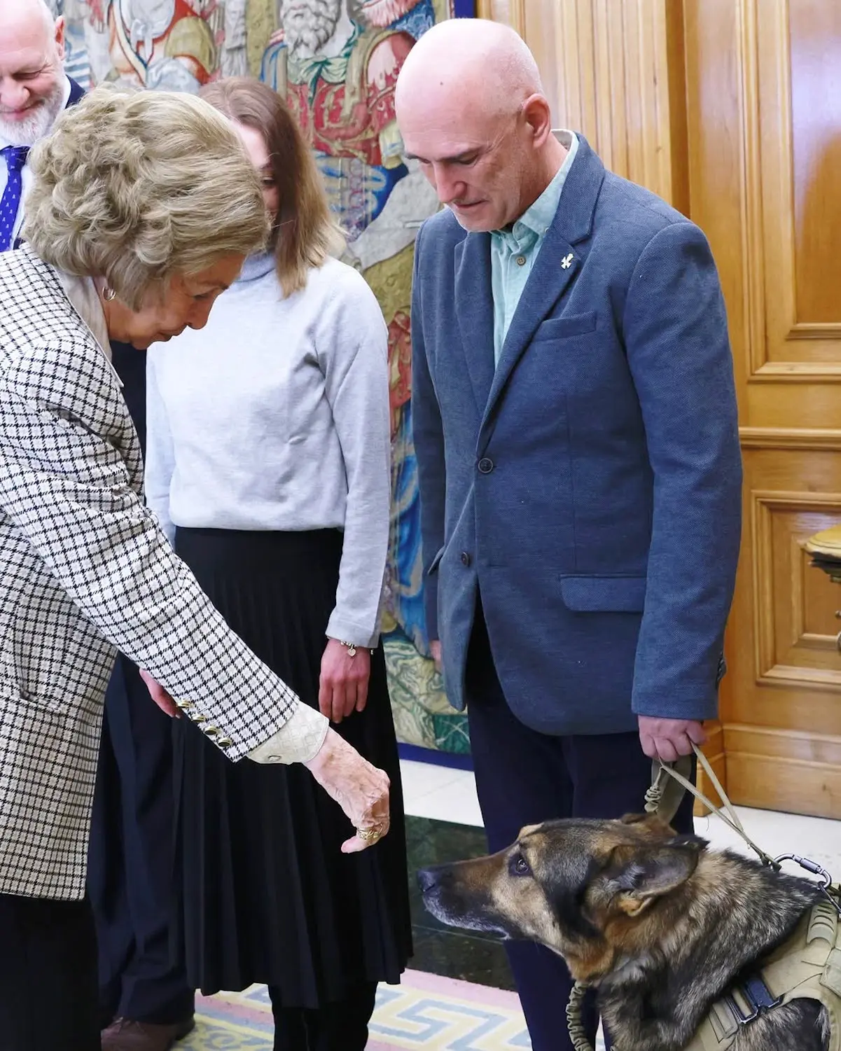 DONA SOFÍA Asociación Héroes de 4 Patas