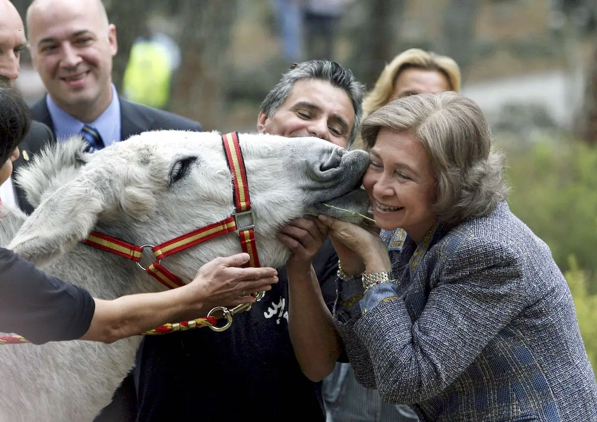 La reina Sofía es una amante de los animales