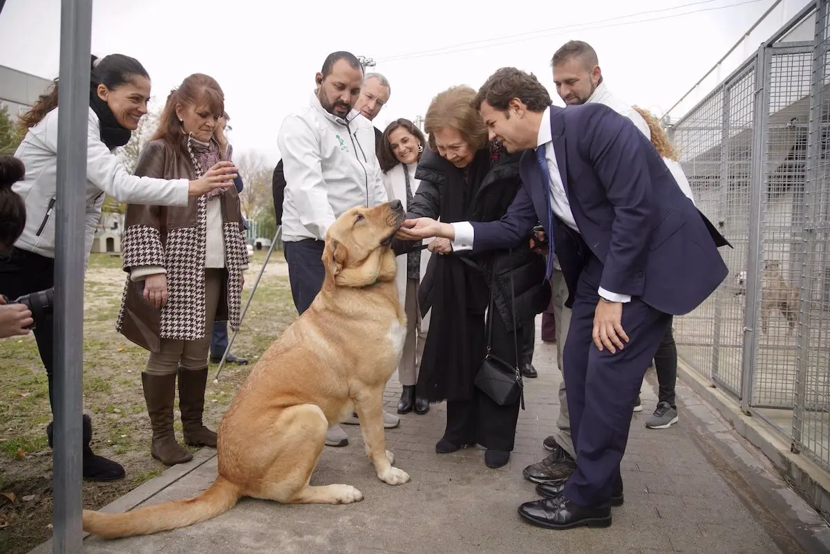 La reina Sofía es una amante de los animales