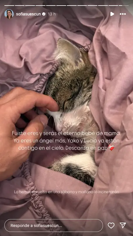 sofia suescun muerte mascota