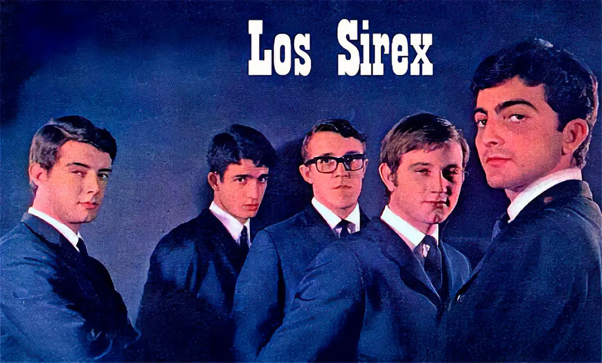 Los sirex en una foto de archivo.