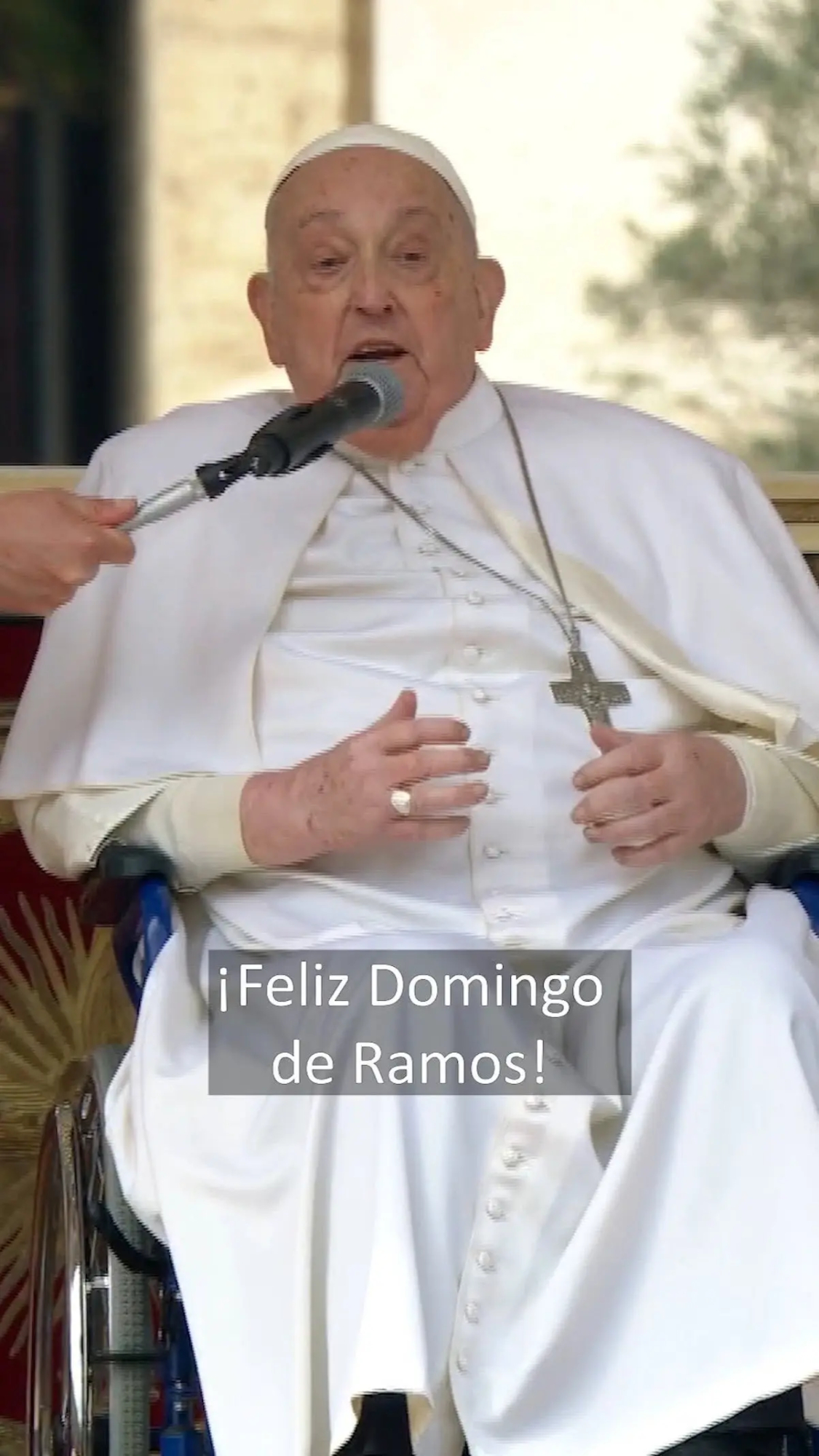 Papa Francisco reaparece
