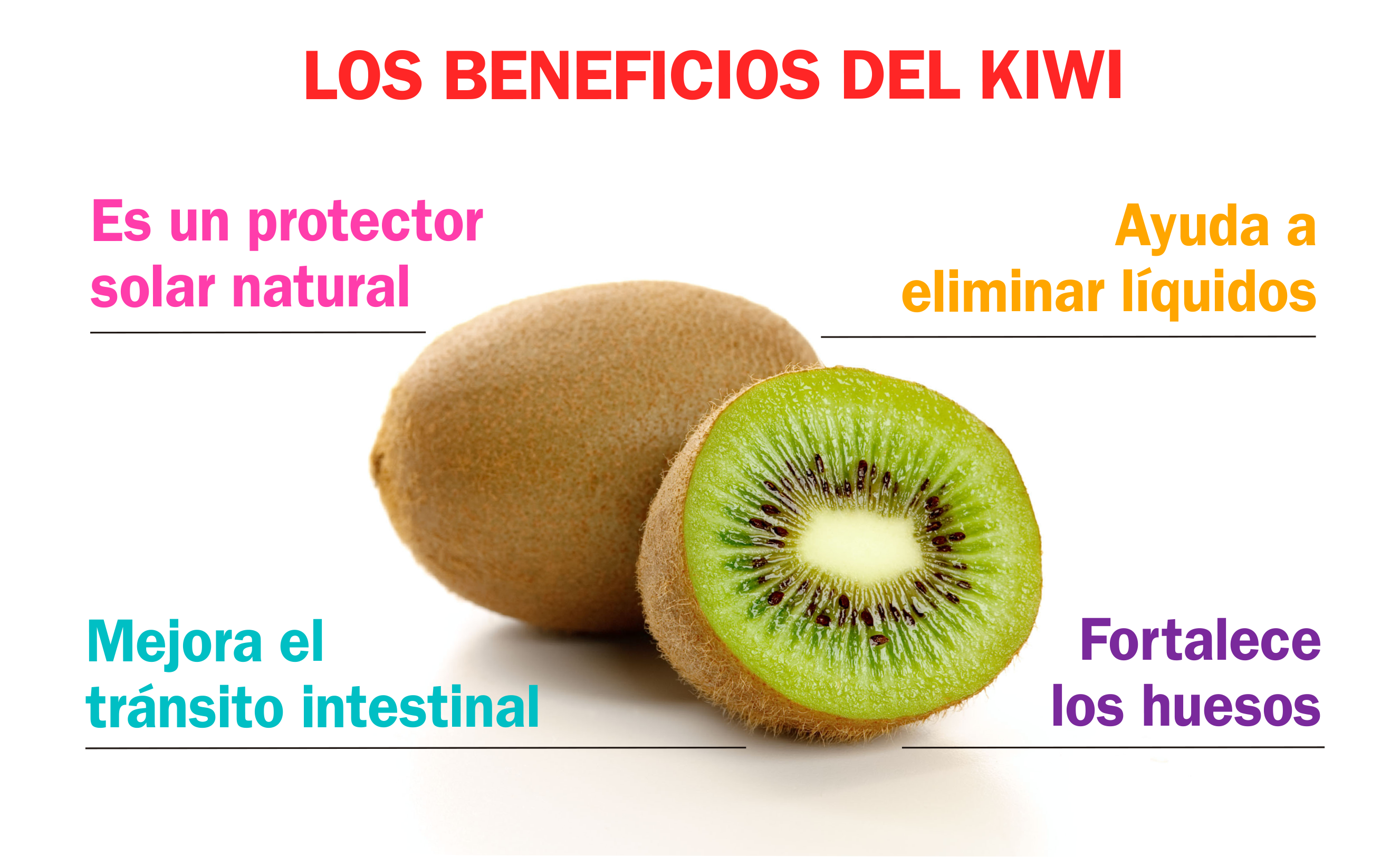 8 facts about Kiwi Fruit fruitrunner