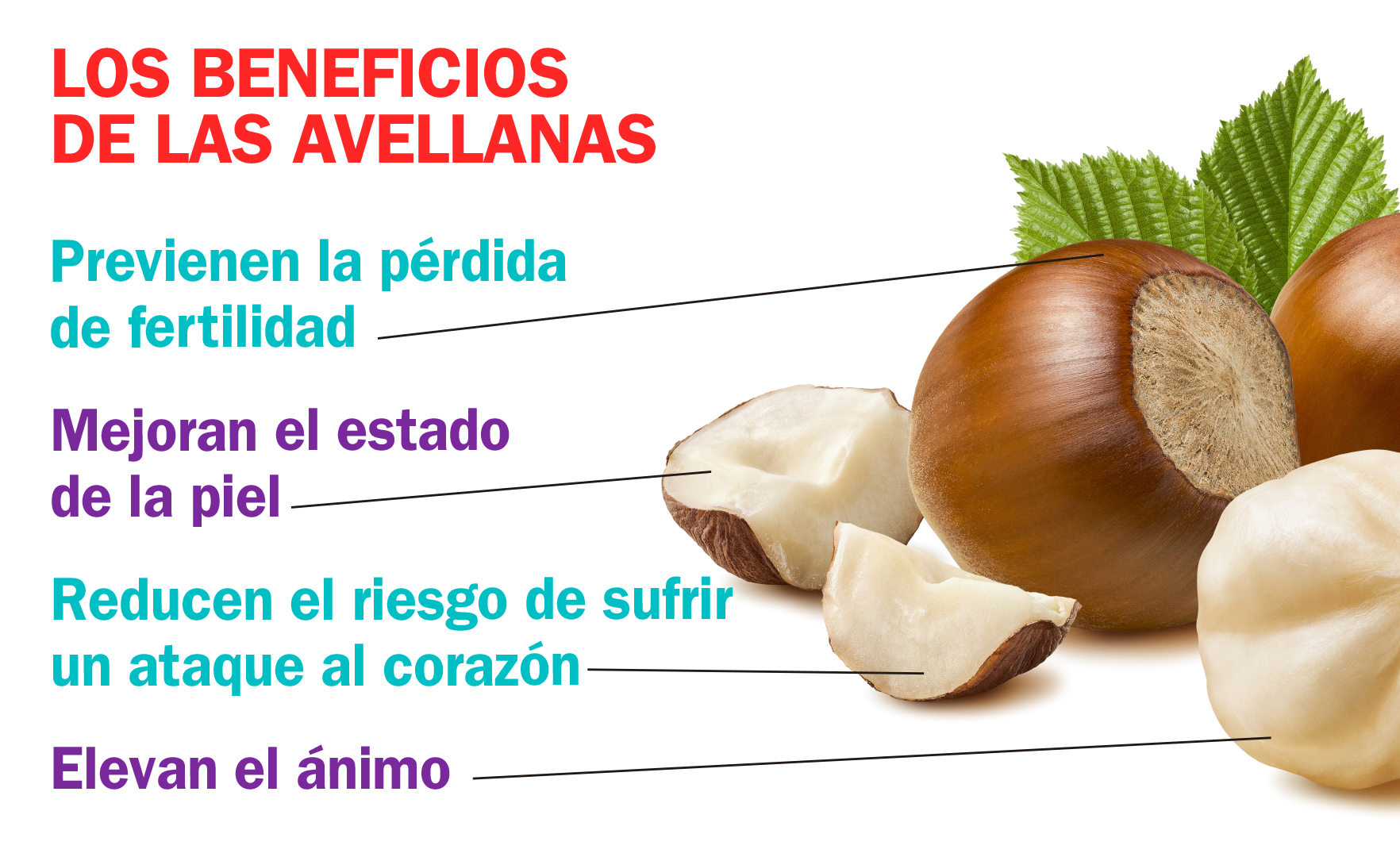 El infográfico avellanas